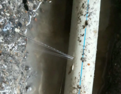 莱芜测漏水哪家好